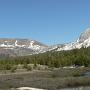 CA - Snebeklædte bjergtoppe tæt på Yosemite